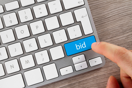 Bid Scrutiny & Analysis